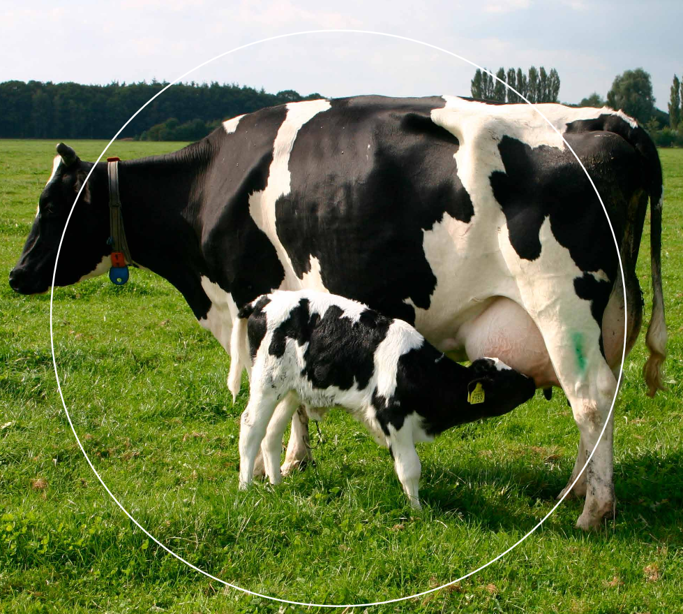 Photo credit : Wageningen University & Research