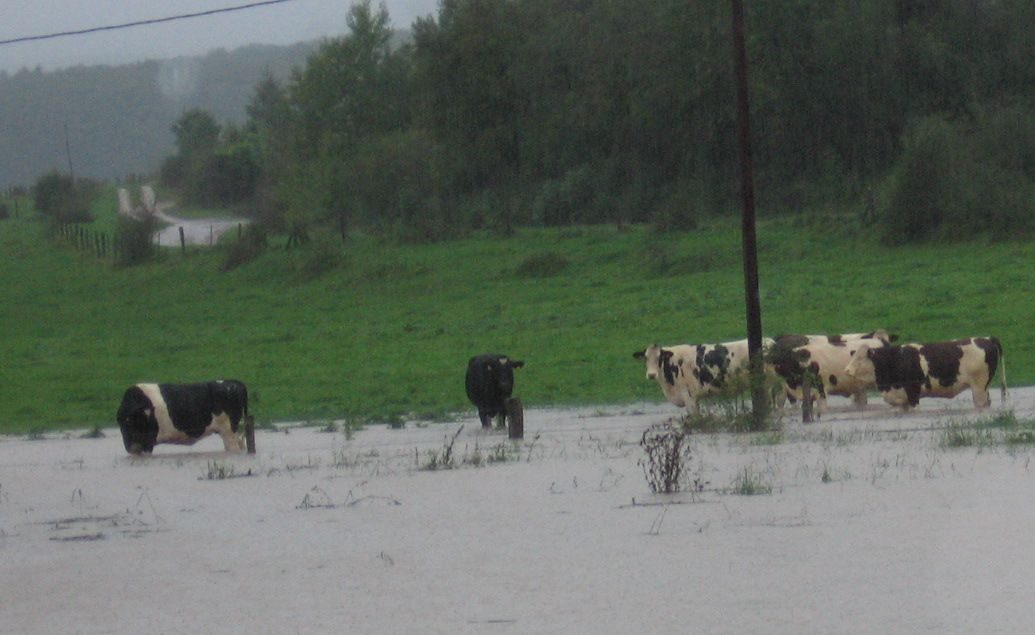 F38_deluge_Louis_Echampard_INRA
